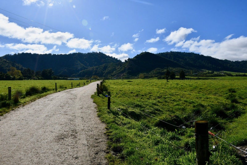 Karamea Dairy – Strong Production &...64517325590659112