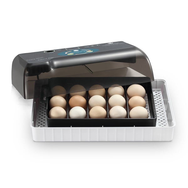 Egg Incubator - Brand New Carousel 13