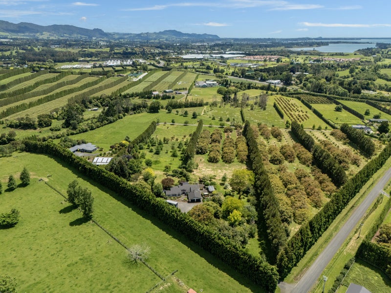 Vendors downfall your windfall64524828569219112