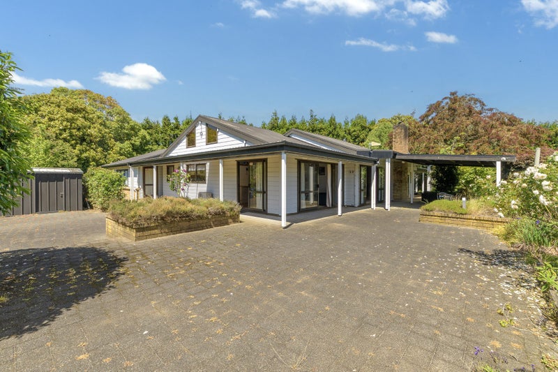 Vendors downfall your windfall64524828569219114