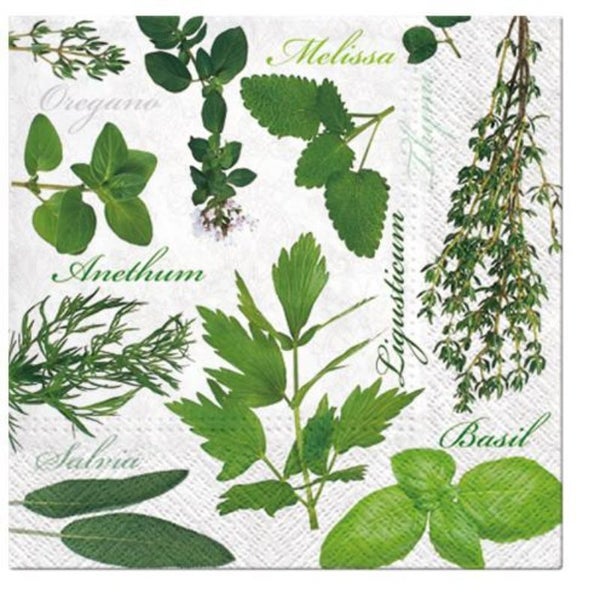Paw Lunch Napkins 33cm Pack Of 20 | 3 Ply | Herbal Taste Carousel 1