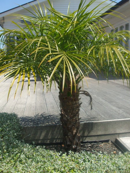 St Lukes, 4 bedrooms64628015417475112