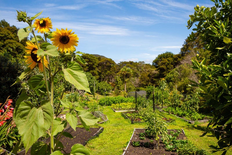 Awaroa Lodge Ltd Carousel 9