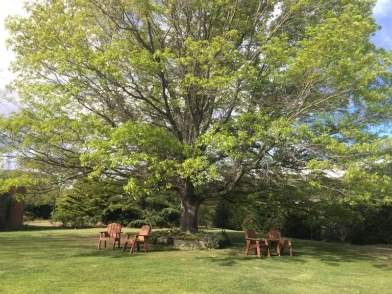 Flexible Purchase: Freehold or Business Only Carousel 15
