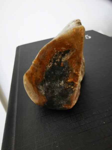 POLISHED AMMONITE, PLUS MINERALS Carousel 7