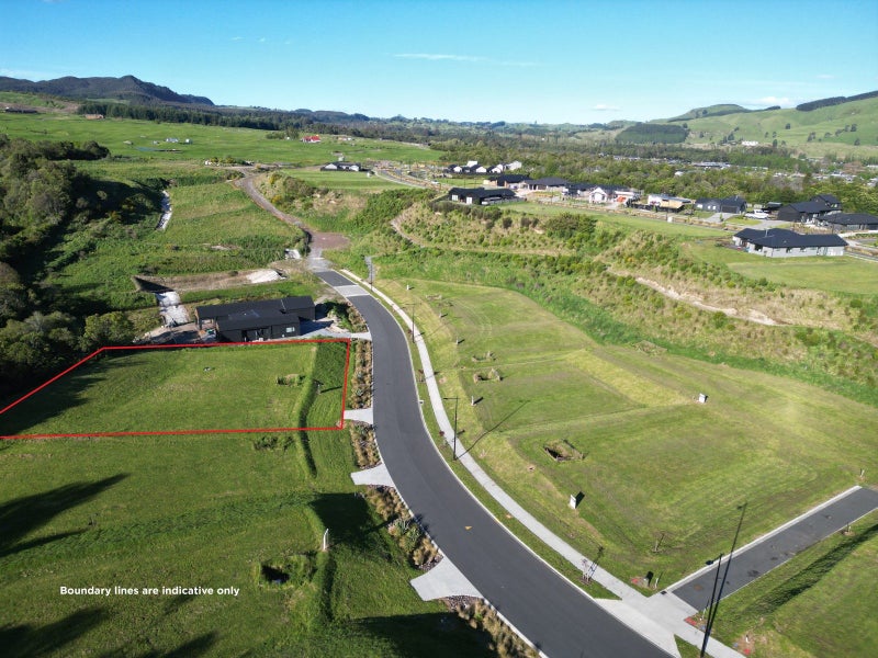 Native bush backdrop64581517185665112