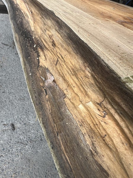 248 cm Totara Slab – Final Totara Listing64528216806659114