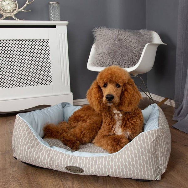 DOG BED SCRUFFS SIESTA BOX BED LARGE/XL 90 X 70CM BLUE Carousel 1