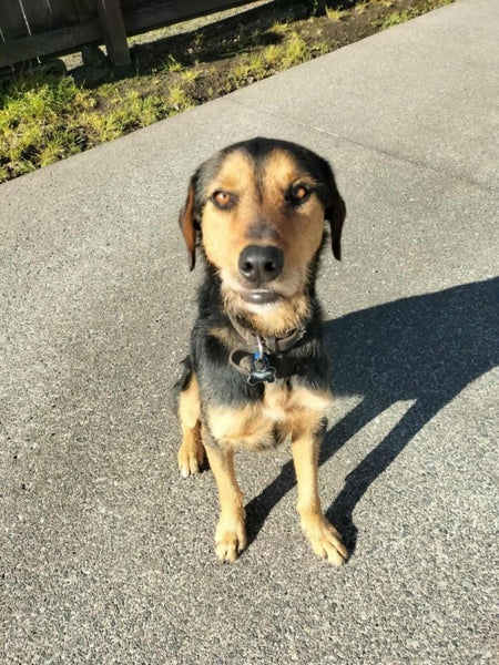 Aroha Nui Carousel 1