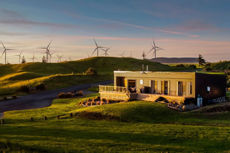 Untamed. Unfiltered. Unforgettable.64535449403011114