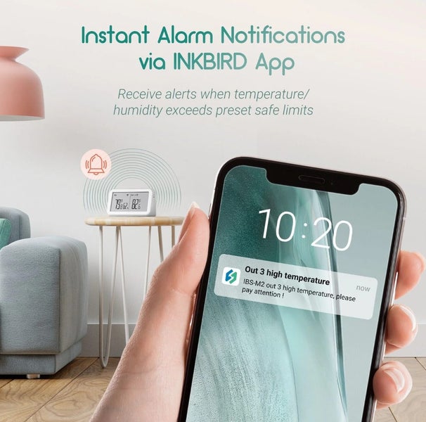 INKBIRD Wireless Floating Pool Thermometer + IBS-M2 Wi-Fi Gateway Carousel 2