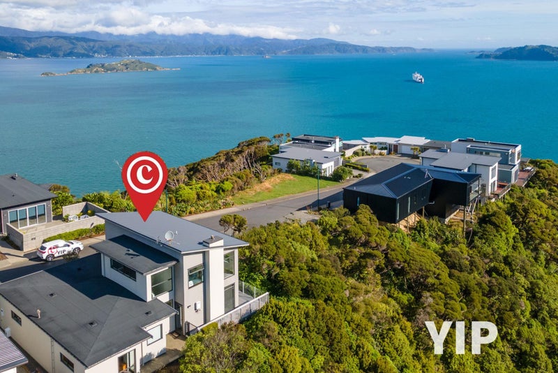 Panoramic Views + Study? YIP!64537134371459110