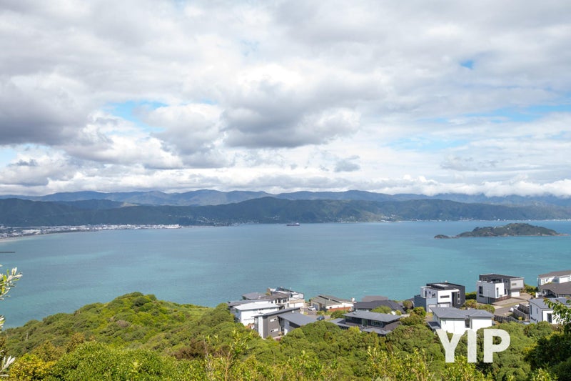 Panoramic Views + Study? YIP!64537134371459112