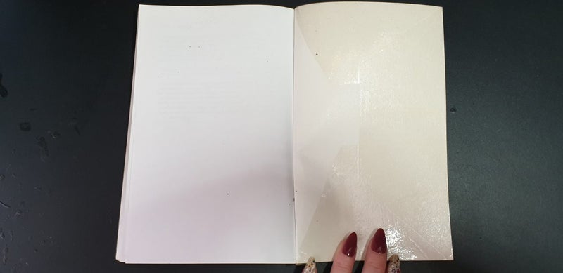 Colour : 12 Lectures By Rudolf Steiner • 1996 • Lectures from 1921 Carousel 18