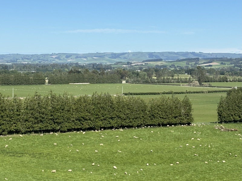 Potential Plus64614811711746113