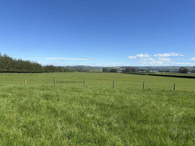 Potential Plus64614811711746114