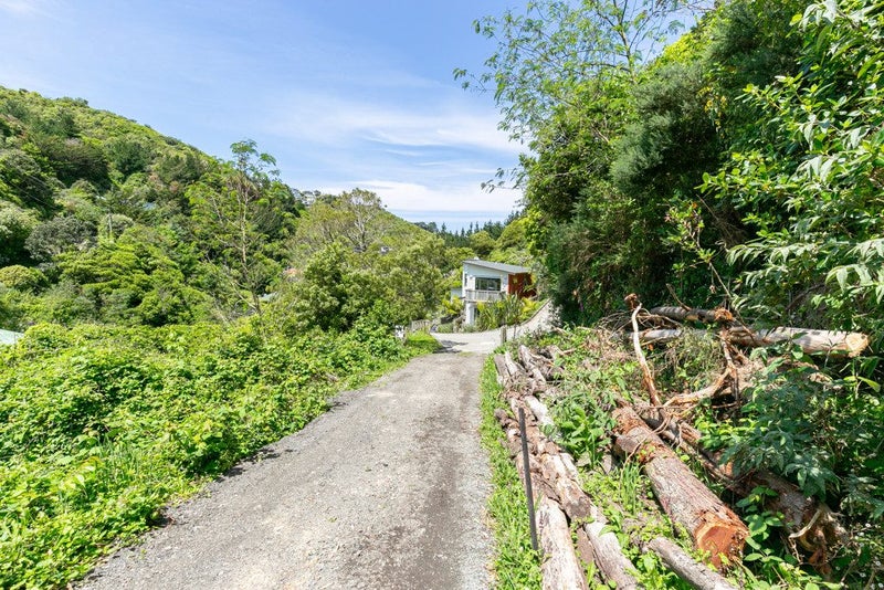 Bold Vision Wanted!64538112702979112