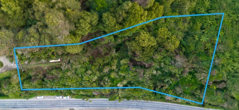 Bold Vision Wanted!64538112702979113