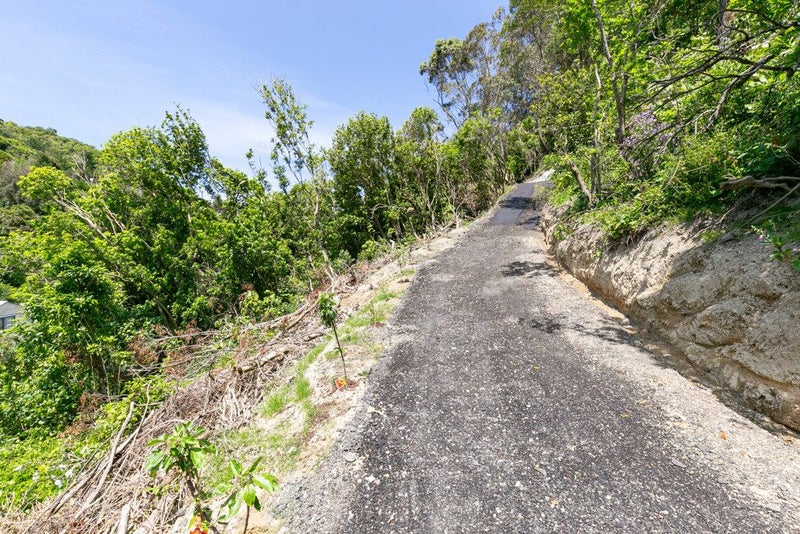 Bold Vision Wanted!64538112702979114