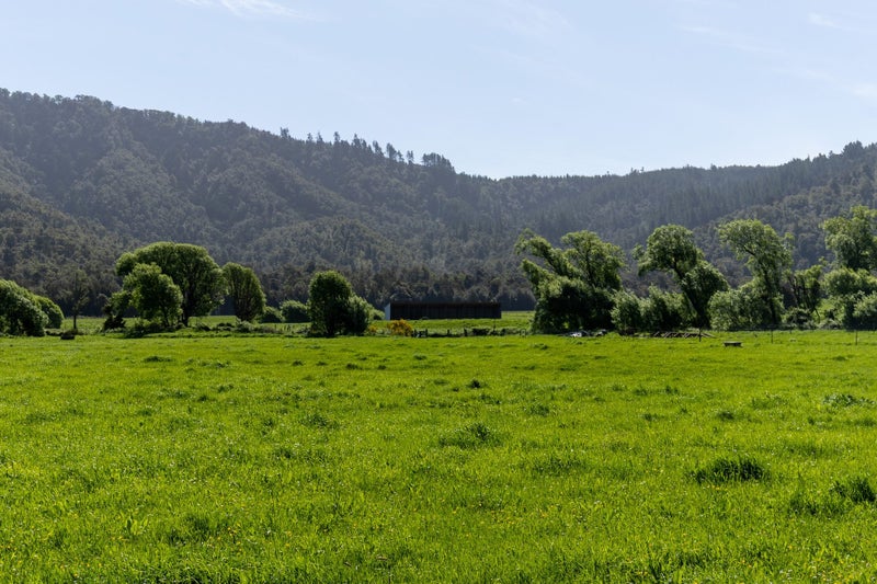 Scale, Charm & Serious upside64538013893634113