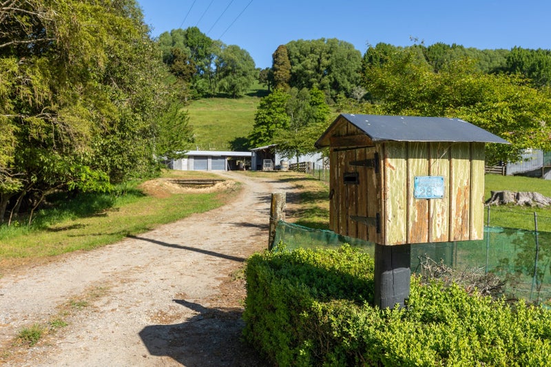 Mooo-ve Fast - This One Won't Last!64538605298818113