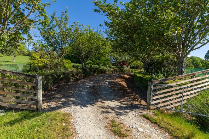 Mooo-ve Fast - This One Won't Last!64538605298818114