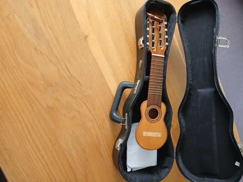 10-STRING CHARANGO Carousel 1