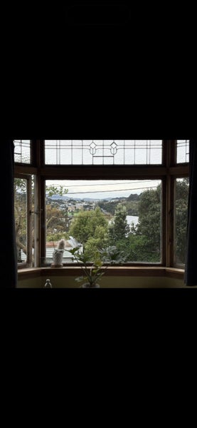 Island Bay, 1 bedroom64539037035521111