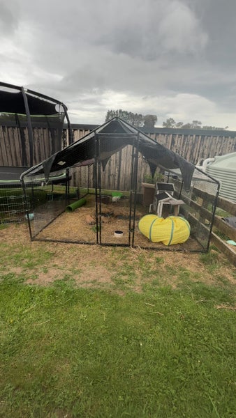 Bonded Rabbits - Female & Male De Sexed Includes Living Space Carousel 1