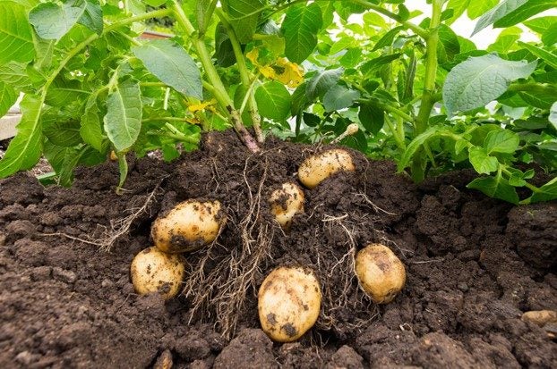 Personnel Placements Carousel 1