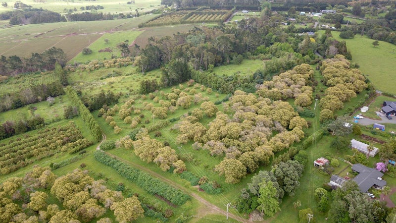 Welcome Home to Your Private Sanctuary64549675878529111