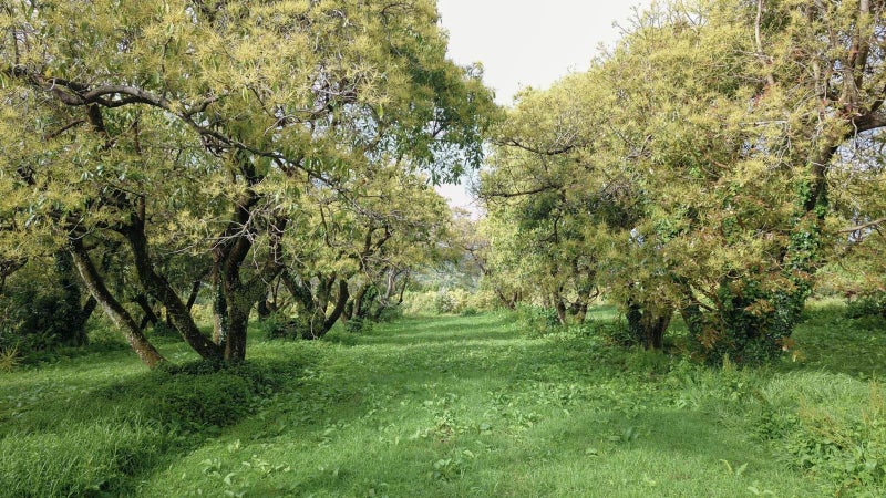 Welcome Home to Your Private Sanctuary64549675878529112