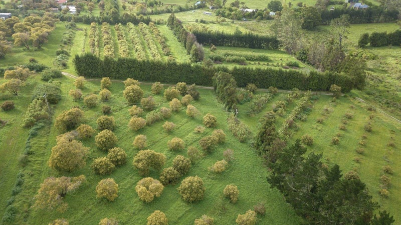 Image 1 of 20
