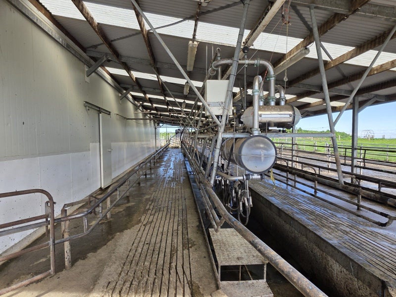 Productive and Promising Dairy Unit64549478226305112