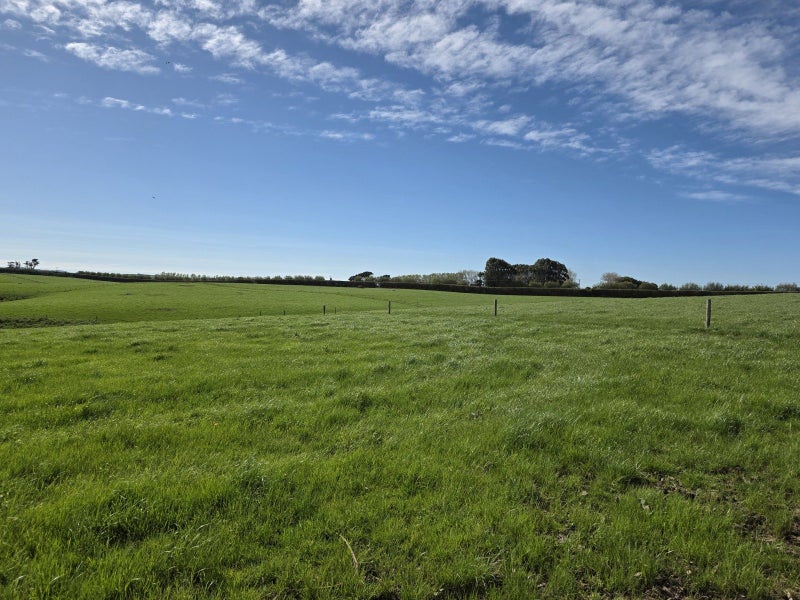 Productive and Promising Dairy Unit64549478226305113