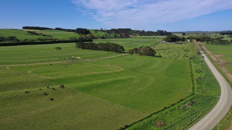 Well-Performing Dairy Unit64549478239747110