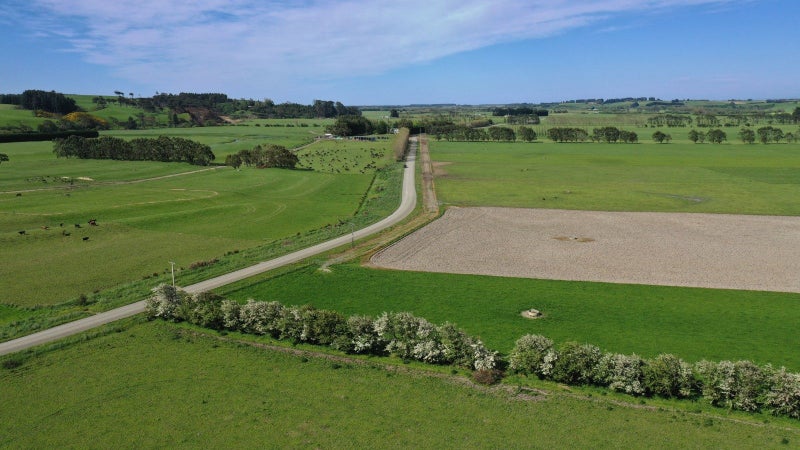 Well-Performing Dairy Unit64549478239747111