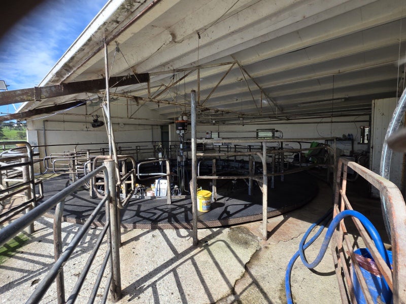 Well-Performing Dairy Unit64549478239747113