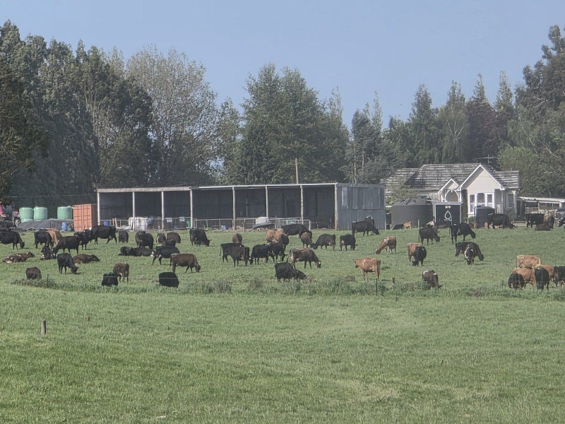 Well-Performing Dairy Unit64549478239747114