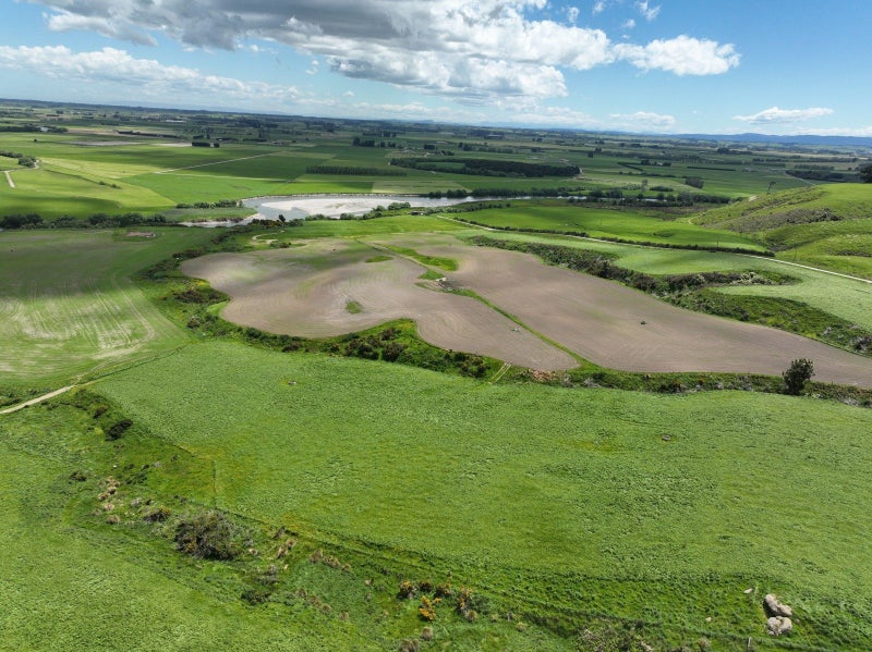 Solid Dairy Support Opportunity64549478251907111