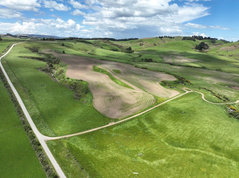 Solid Dairy Support Opportunity64549478251907110