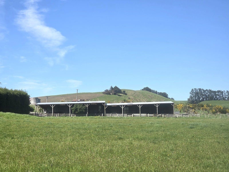 Solid Dairy Support Opportunity64549478251907112