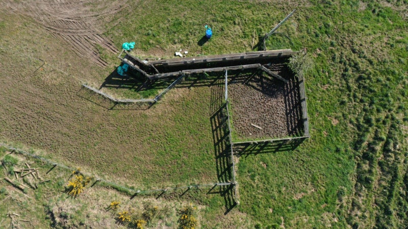 Solid Dairy Support Opportunity64549478251907113