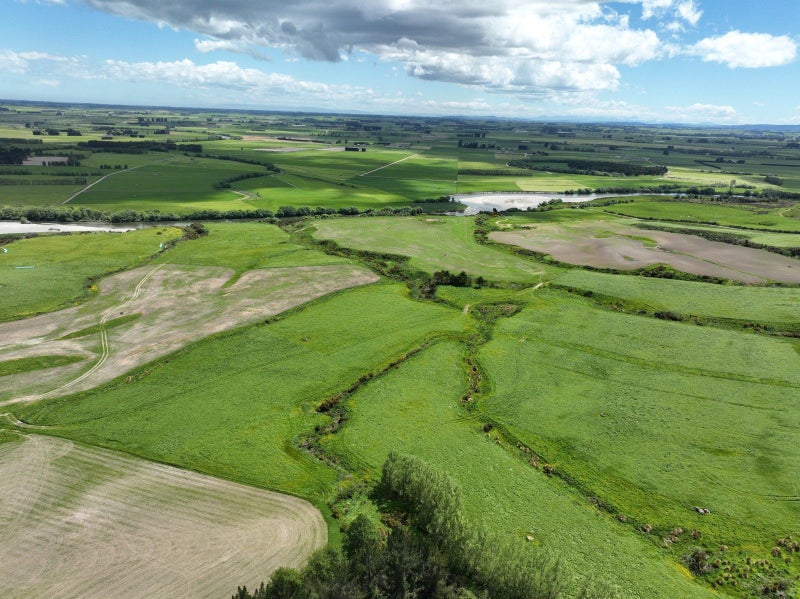 Solid Dairy Support Opportunity64549478251907114