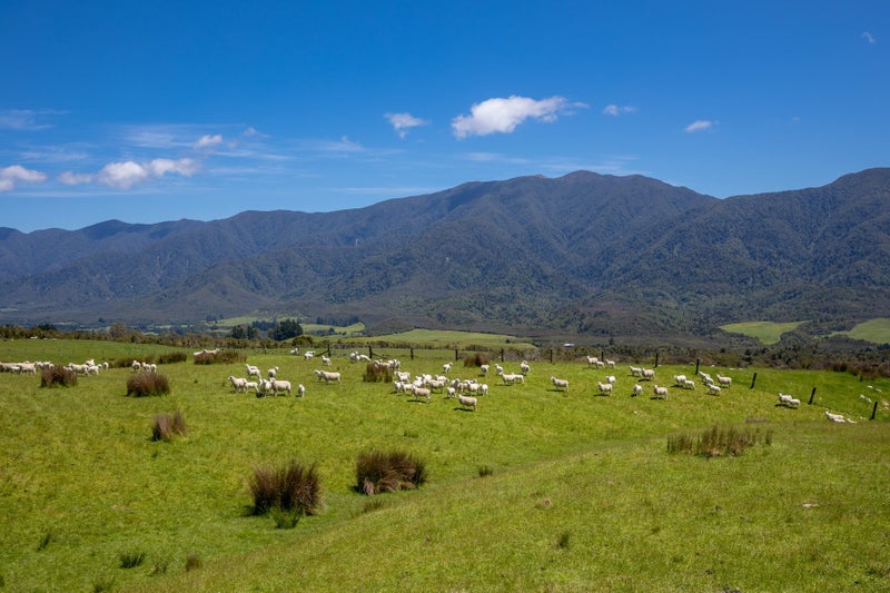 Big Land, Big History, Big Chance64549576734723114