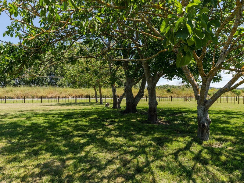 Flat, Fully Fenced Lifestyle Section64549989004419111