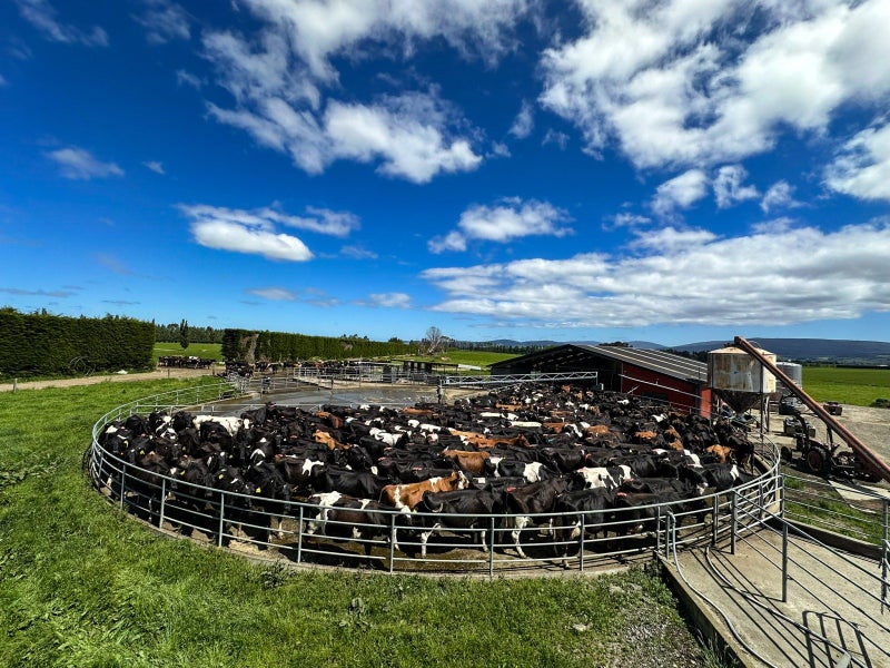 Dairy with Rotary64550566778753110