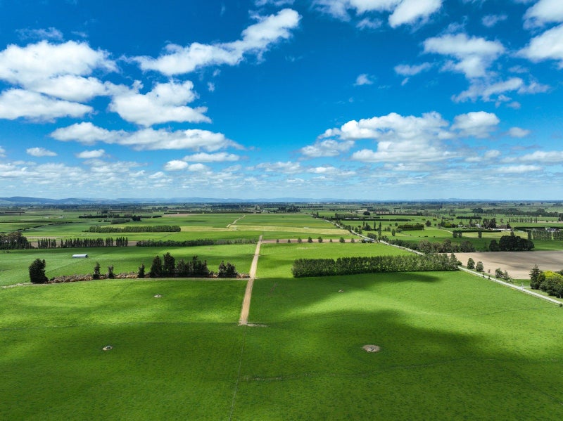 Dairy with Rotary64550566778753111