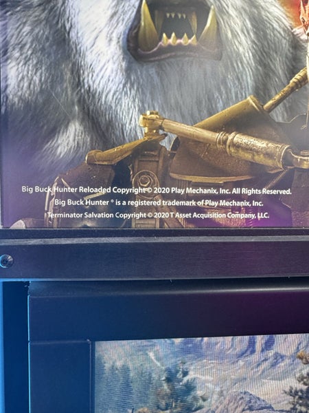 Big Buck Commercial Arcade Carousel 6