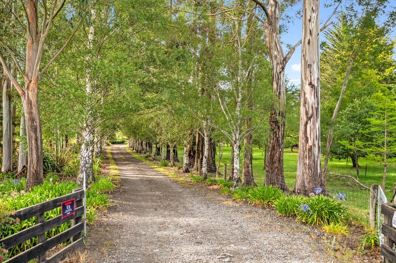 Nature-Rich Living on a Grand Scale64551068364033111